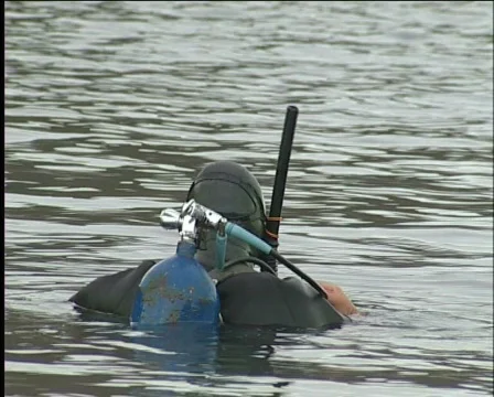 Diver 스톡 동영상 573191