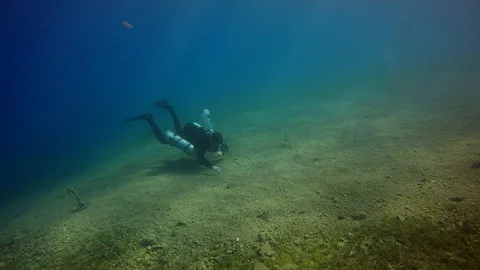 Diver Stock-Footage 113946794