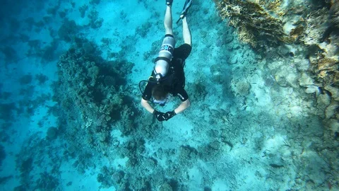 Diver Video stock 128391393