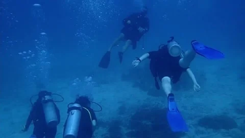 Diver Stock Footage 235132557