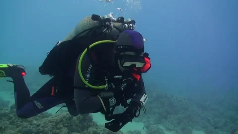 Diver in gear disappear beneath surface of clear water. Stock Footage 235769877