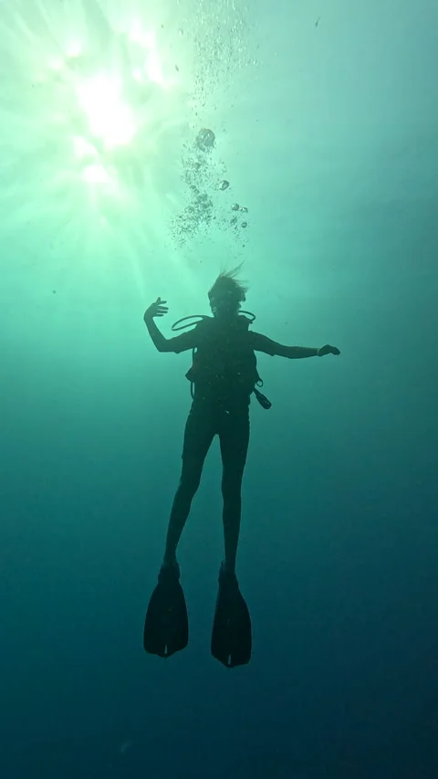 A diver gracefully gliding over the clear ocean floor captures Video stock 327480909