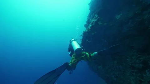 Diver gracefully swims underwater navigating past reef Stock Footage 305958289