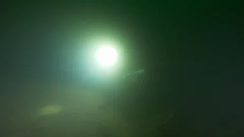 Diver illuminates the bottom of the lake with a torch, Trevignano lake, Italy Stock Footage 104454765