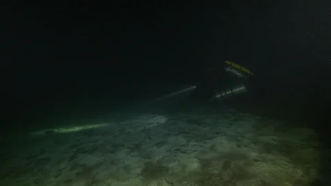 Diver illuminates eel of lake at the bottom of the lake, Albano lake, Italy Stock Footage 107720615
