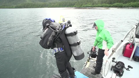 Diver jumping in 1080 240fps Stock Footage 232873548