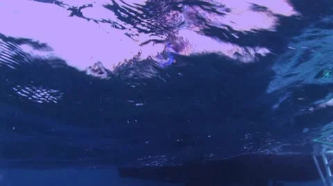 Diver Jumping In The Water 動画素材 19081735