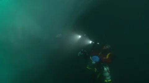 Diver lighting a jellyfish in the Arctic Ocean – Underwater shot Video stock 100612552