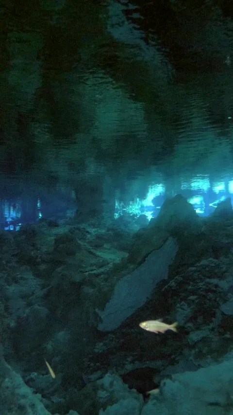 Diver lights crossing a dark underwater cavern Stock Footage 341361595
