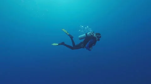 Diver looking at the camera in the blue Stock Footage 235172374