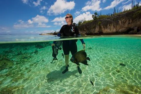 A diver looks out to sea while a French Angelfish swims around her. Stock Photos