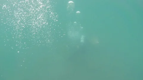 Diver Low Viz Bubbles Stock Footage 115880253