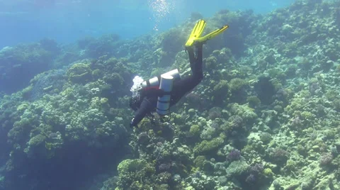 Diver make to dive Stock Footage 38301353