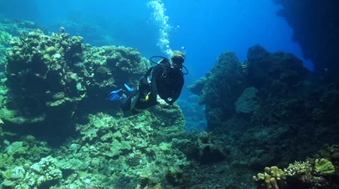 Diver in Malahi Stock Footage 33531752