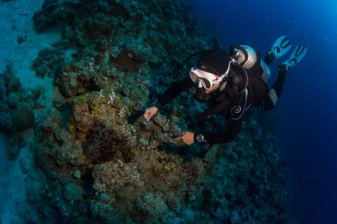 Diver met octopus Stock Photos