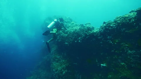 Diver moves through diverse underwater realm beneath waves Stock Footage 305960235