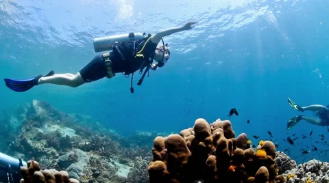 Diver near the surface Stock Footage 58299080