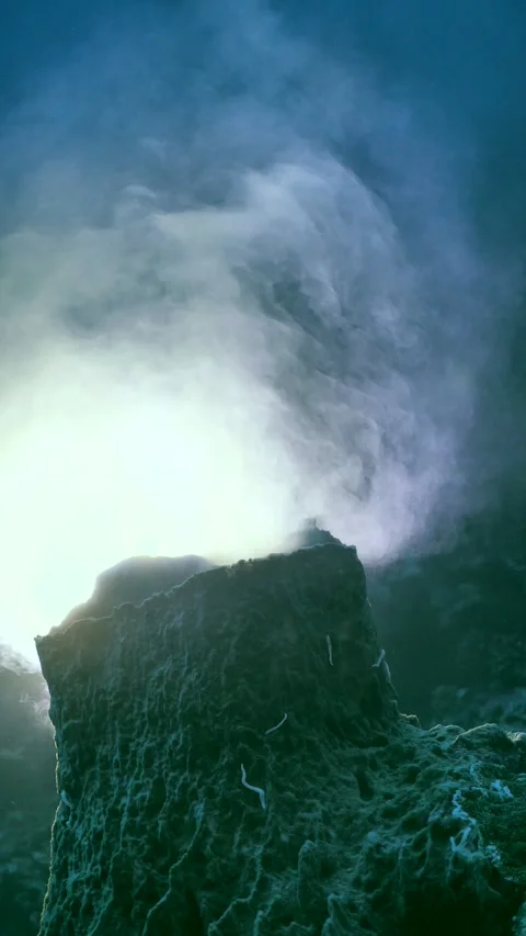 Diver observes spawning barrel sponge releasing white cloud Video stock 325514410