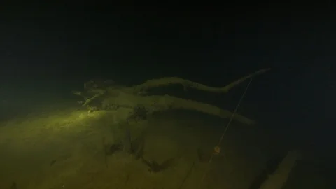 Diver passes near the trunk to which is linked a guide line, Albano lake, Italy Vídeos de archivo 107374702