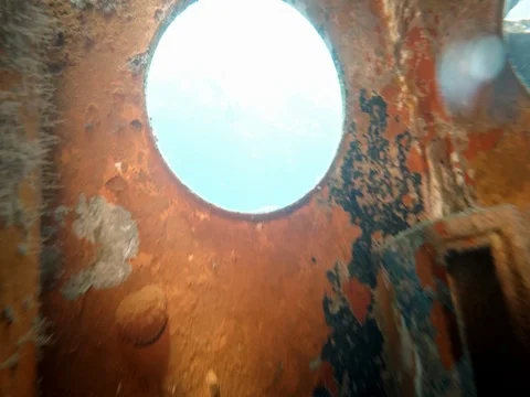 Diver Peeks Out of Sunken Ship Window Stock-Footage 75799085