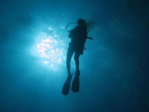 Diver Stock Photos