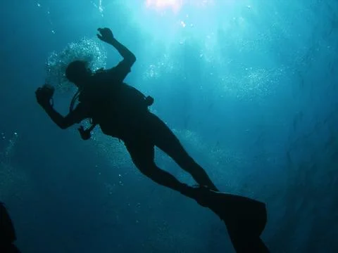 Diver Stock Photos