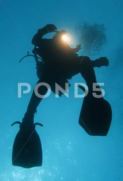 Diver Stock Photos