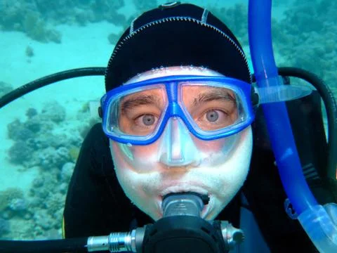 Diver Stock Photos