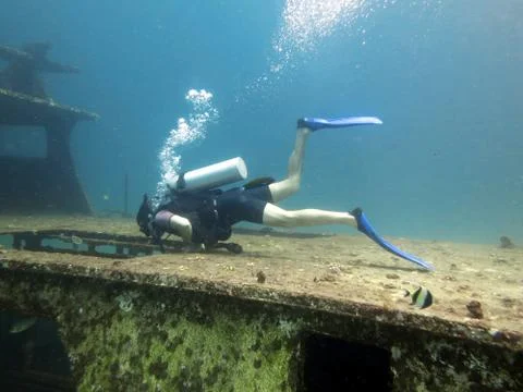Diver Stock Photos