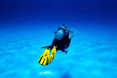 Diver Stock Photos