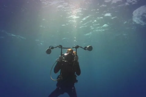 Diver Photographing Shark Stock Footage 393040