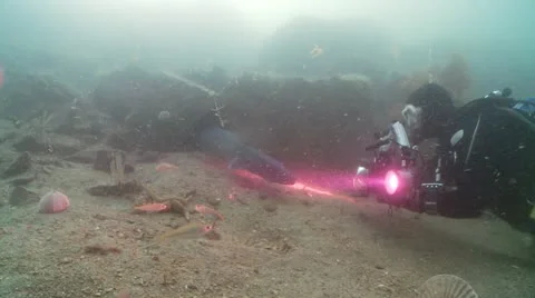 Diver phots conger eel Stock Footage 12502563