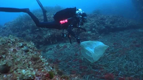 Diver picking up trash underwater Stock Footage 201206311