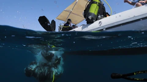Diver plunging into the water. Stock Footage 263115282