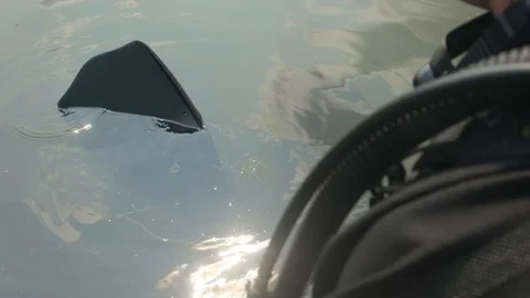 The diver is preparing to dive.Scuba diver wears equipment. close-up of the gear 動画素材 112793605