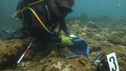 Diver puts gun in box and then in the yellow bag, Ustica, Mediterranean sea Stock Footage 124343839