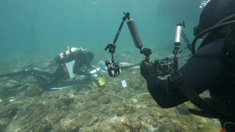 Diver puts wrapper with bloody knife in a yellow bag,Ustica,Mediterranean seabag Stock Footage 126991689