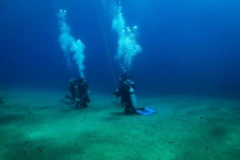 Diver on the reaf Stock Photos