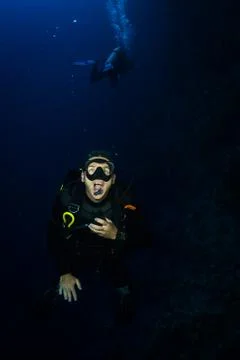 Diver on the reaf Stock Photos