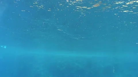 Diver Rises to the Surface Sea 스톡 동영상 51804447