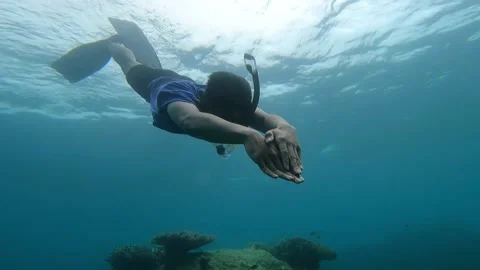 A diver rising to the surface after an ocean adventure in the waters Stock Footage 220087982