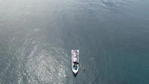 Diver Roll Video stock 248514522