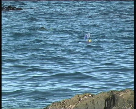 Diver in sea Stock Footage 139643