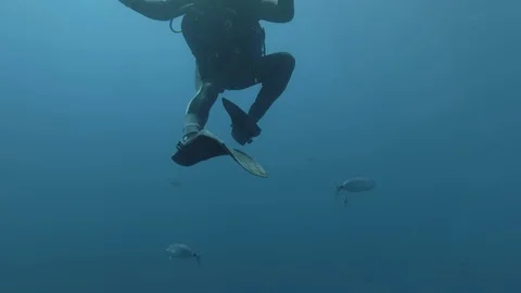 Diver shows OK signal while descending into Zenobia wreck dive site Cyprus Stock Footage 87328013