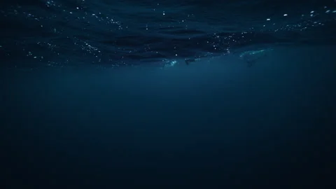 Diver Silhouette Beneath Arctic Ocean Surface with Rising Bubbles Stock Footage 334054886