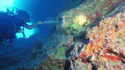 Diver in special equipment with flashlight examines corals Stock Footage 305964421