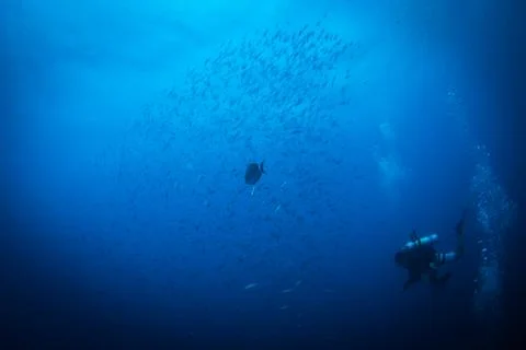 Diver on SS Thistlegorm Stock Photos