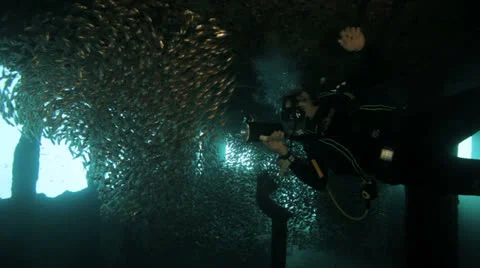 Diver surrounded by shoal of fish inside the ship wreck Vídeos de archivo 22695696