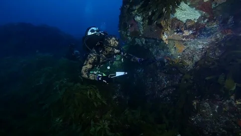 Diver surveys reef exploring the deep sea Video stock 127084221