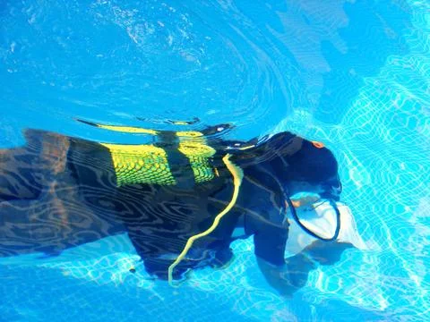 Diver swim in pool with instruction for learning Stock Photos